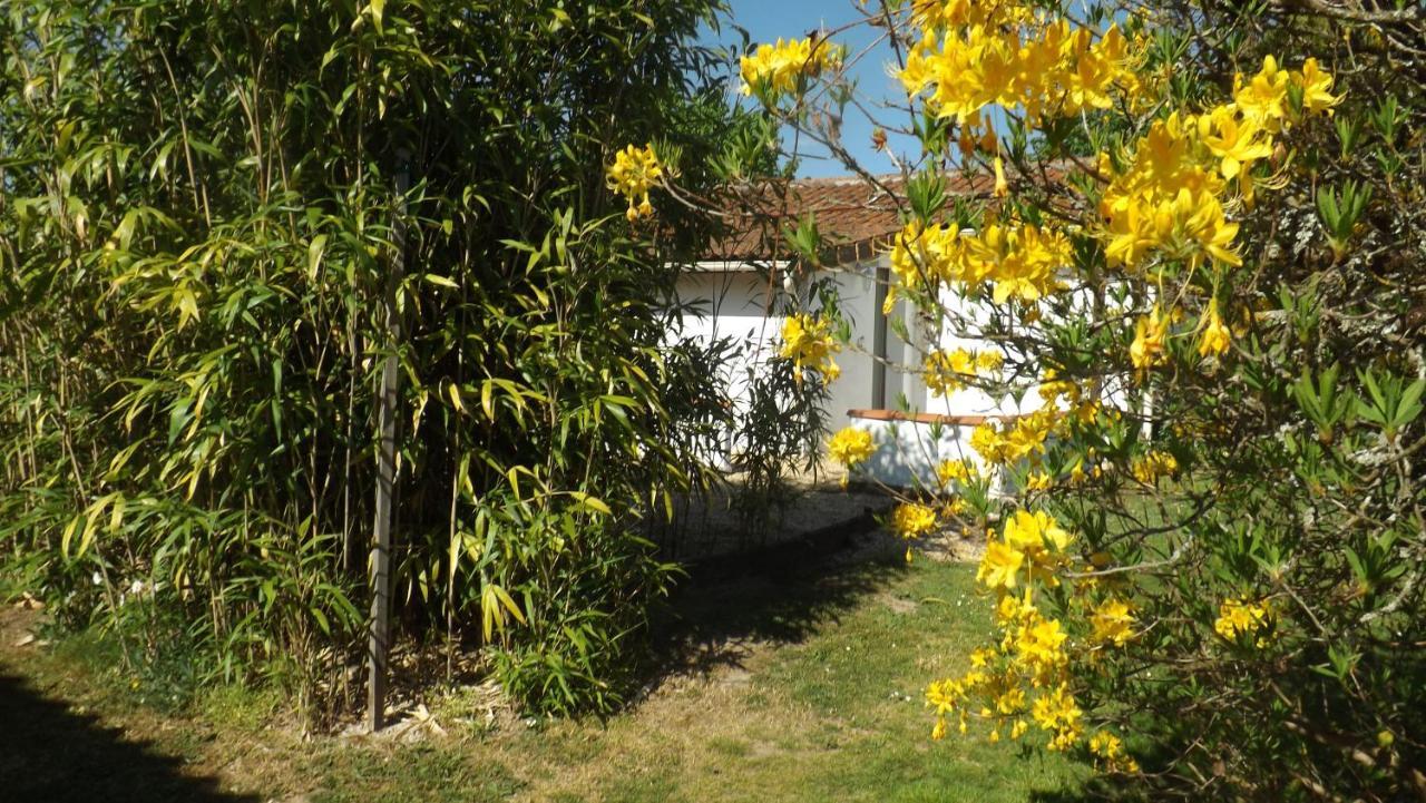 Breesfalt Gite Accomodation Vila Maisonnais-Sur-Tardoire Exterior foto